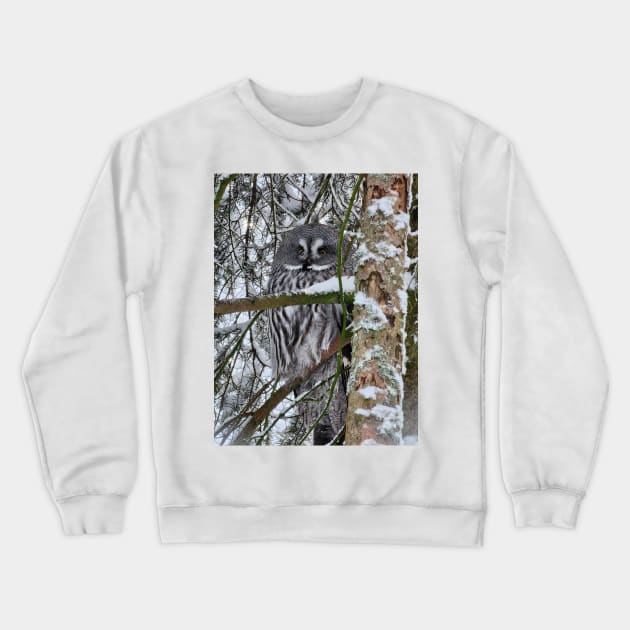 Lapland Crewneck Sweatshirt by ZoeBaruch